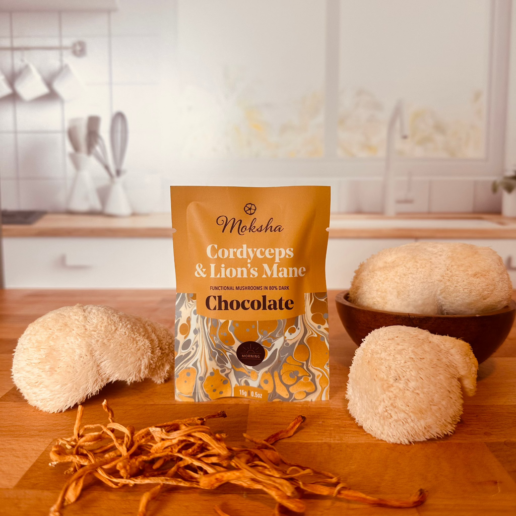 Morning Energy & Focus Mushroom Chocolates with Lion's Mane & Cordyceps