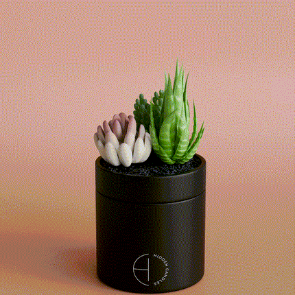 Cozy Tiny Home Candle Refill