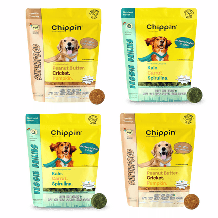 Crunchy Dog Biscuit Bundle, 4-Pack
