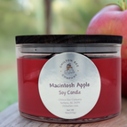Macintosh Apple