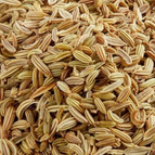 2 oz seeds