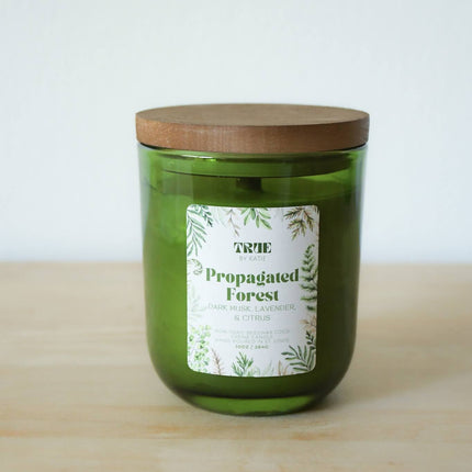 Propagated Forest Candle