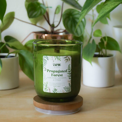 Propagated Forest Candle