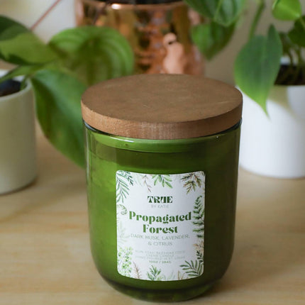 Propagated Forest Candle