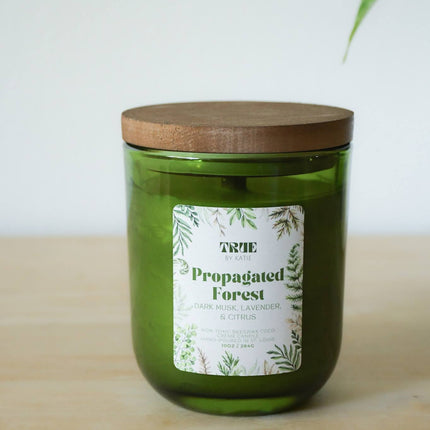 Propagated Forest Candle