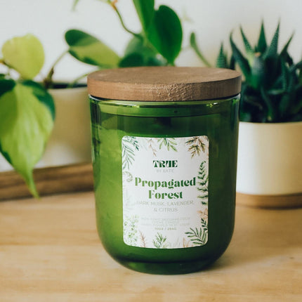 Propagated Forest Candle