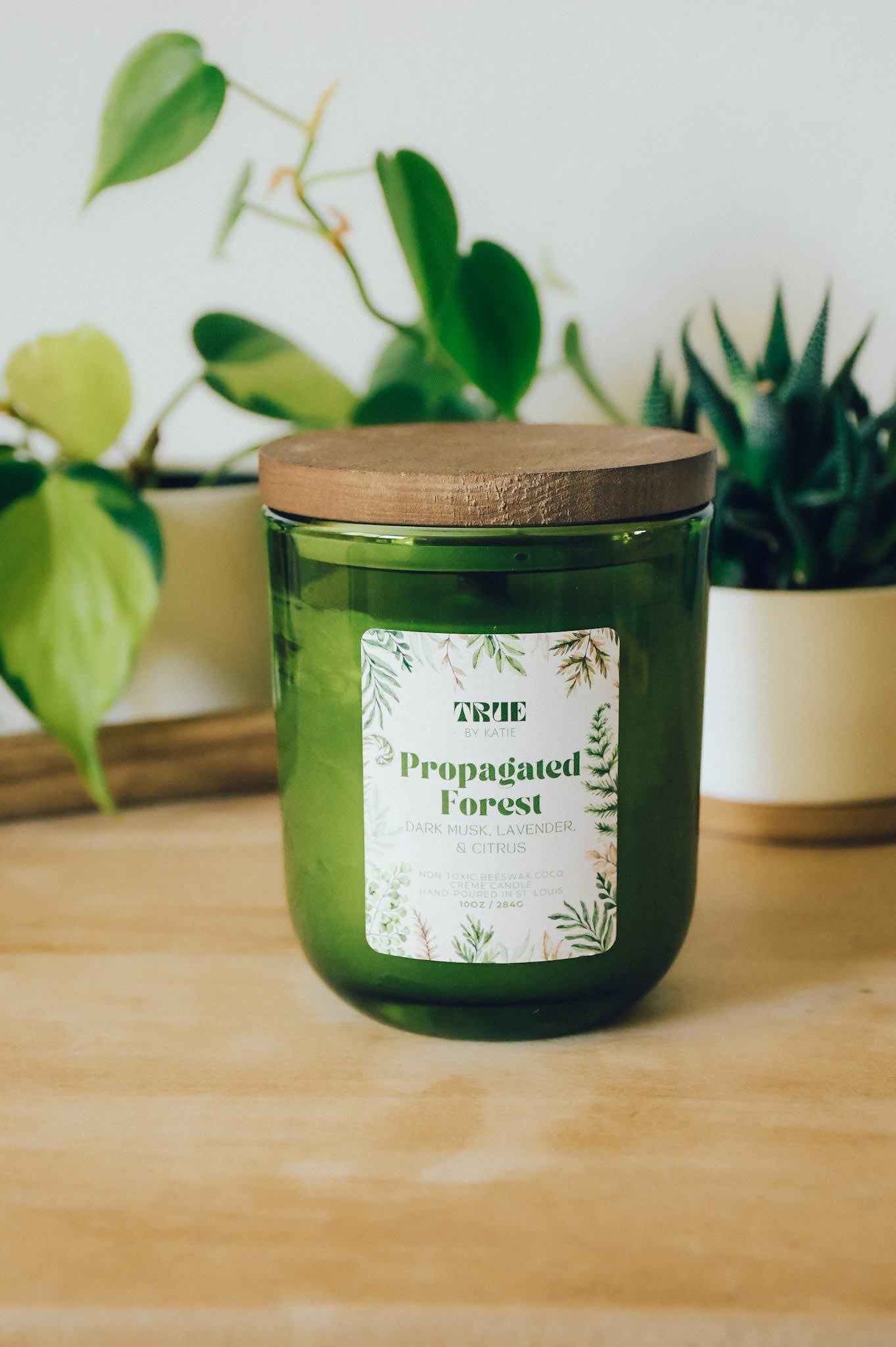 Propagated Forest Candle