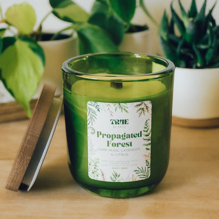 Propagated Forest Candle