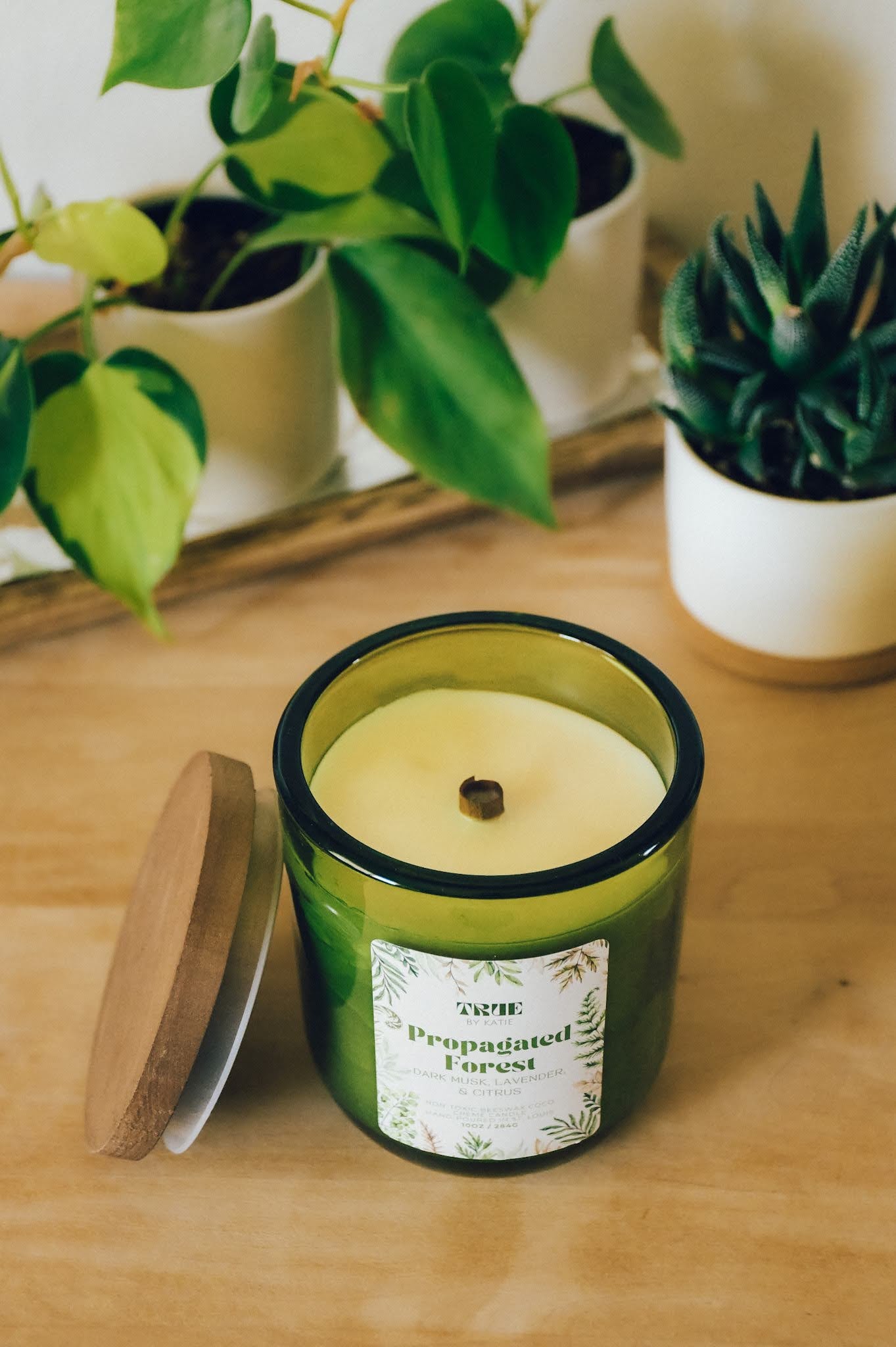 Propagated Forest Candle