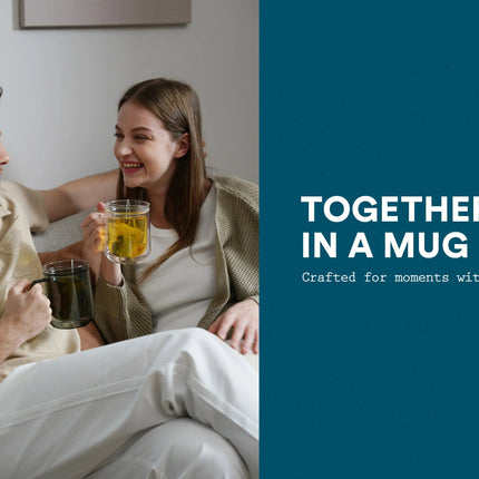 Double Wall Mug - 500ml/17oz (Set of 2)