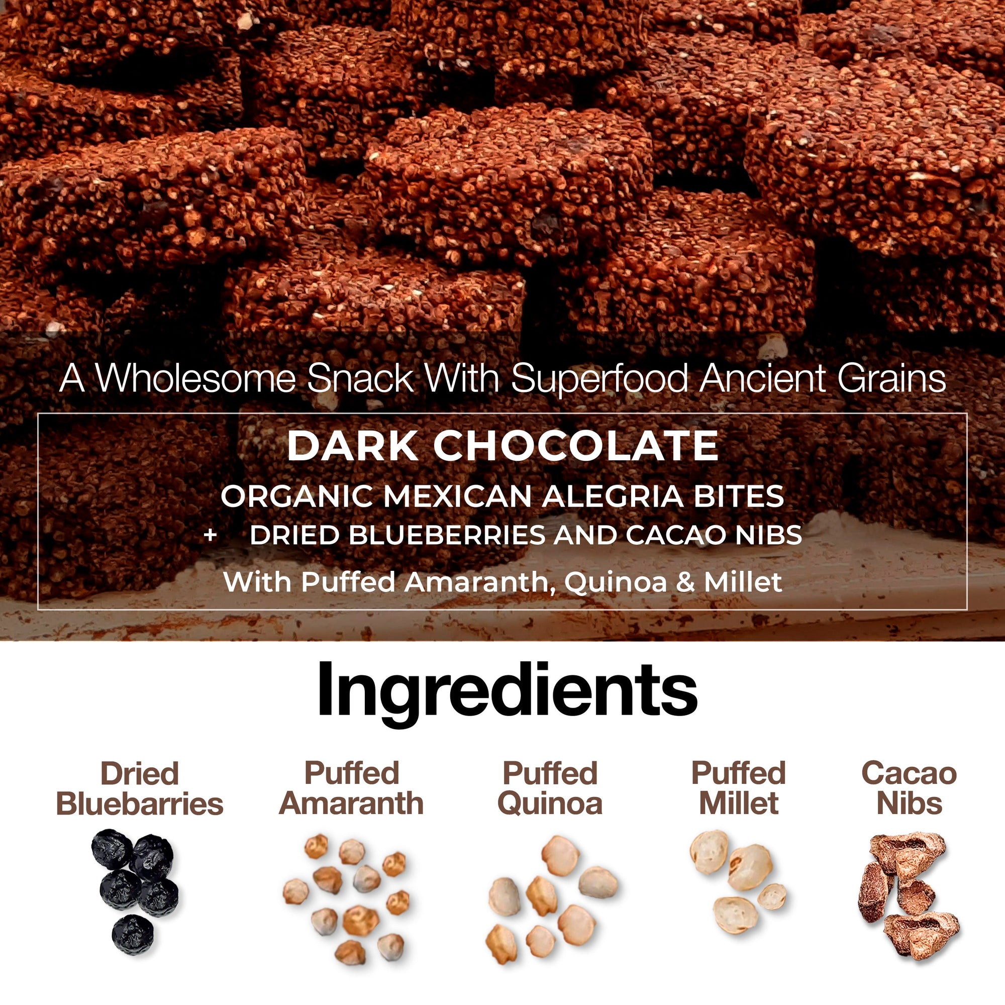 NEW Dark Chocolate Alegria Bites w/ Blueberries + Cacao Nibs