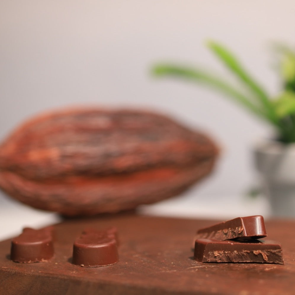 Dark Mylk Chocolate bunnies