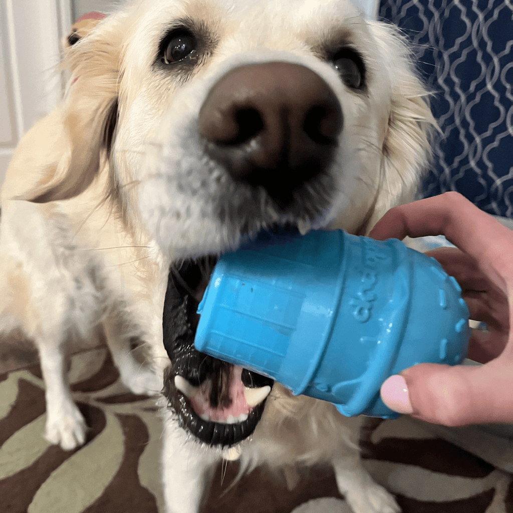 Dog Treat Dispensers
