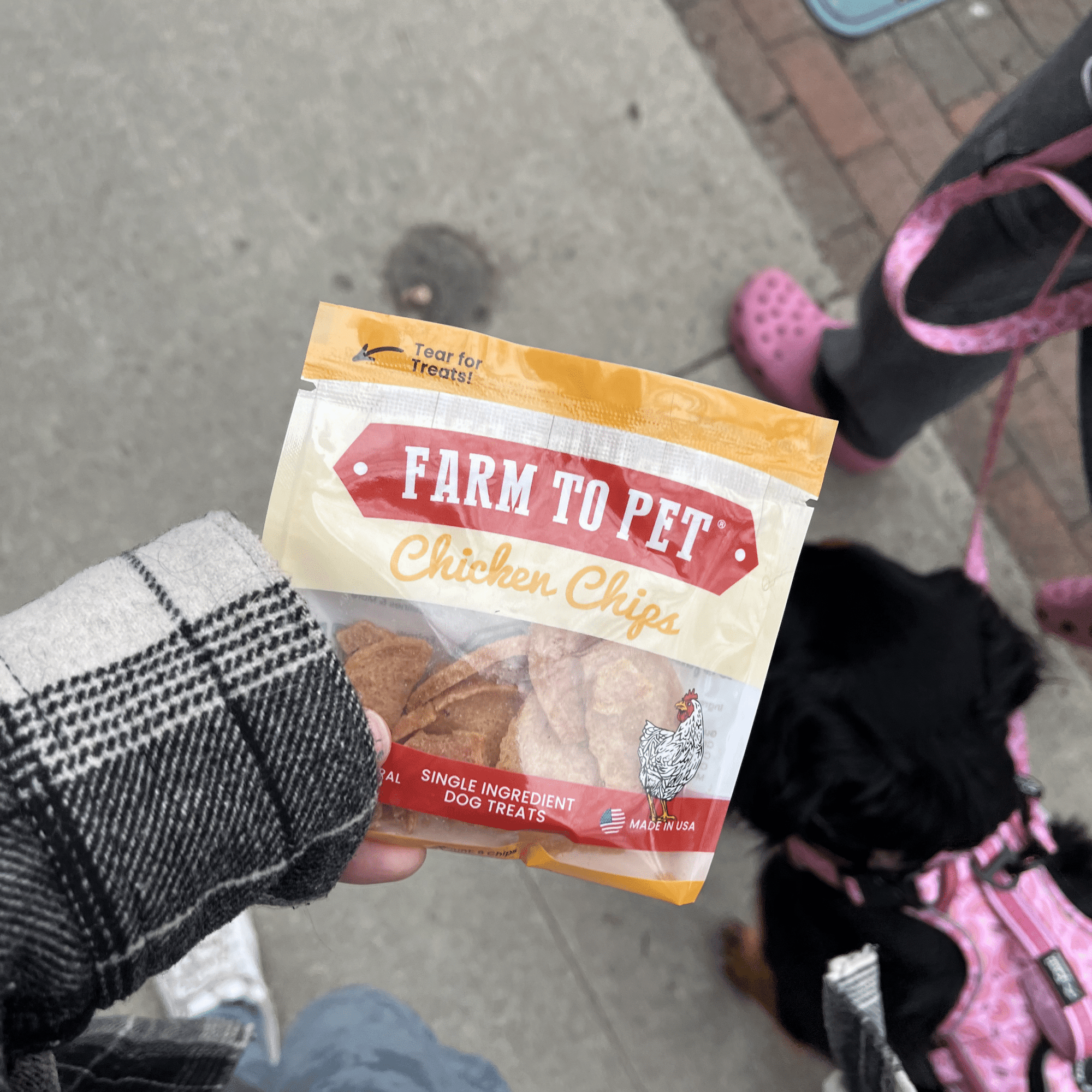 Chicken Chips Snack Pack Bundles | Dog Party Favors & Training Treats