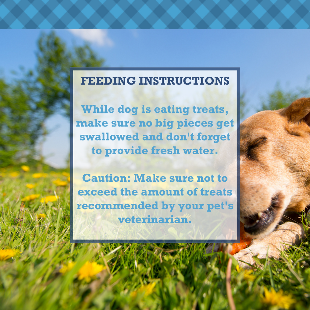 Country Living All-Natural Chicken Feet Dog Treats, Crunchy  Snacks for Joint Support – (20-Pack)