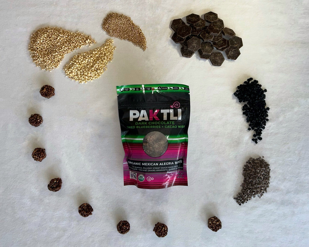 NEW Dark Chocolate Alegria Bites w/ Blueberries + Cacao Nibs