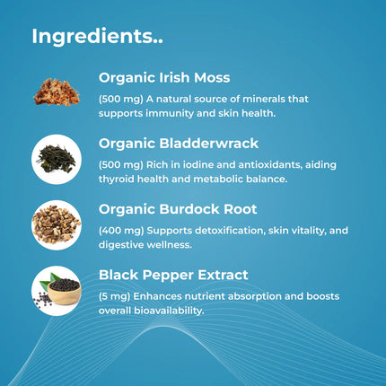 Elements Lab Aquathrive LX Minerals that support Immune Systems Marine Support