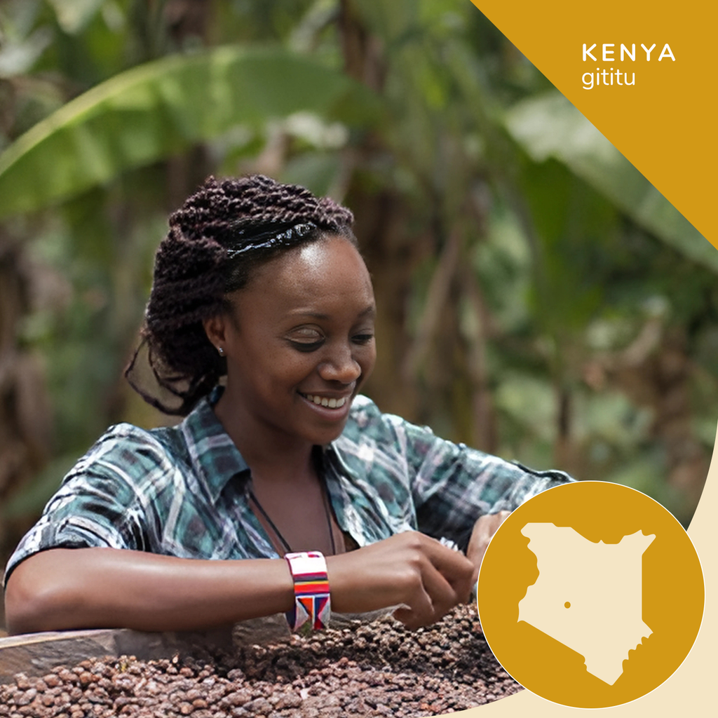 Kenya AA Premium Coffee - Opaqa Gititu Gold