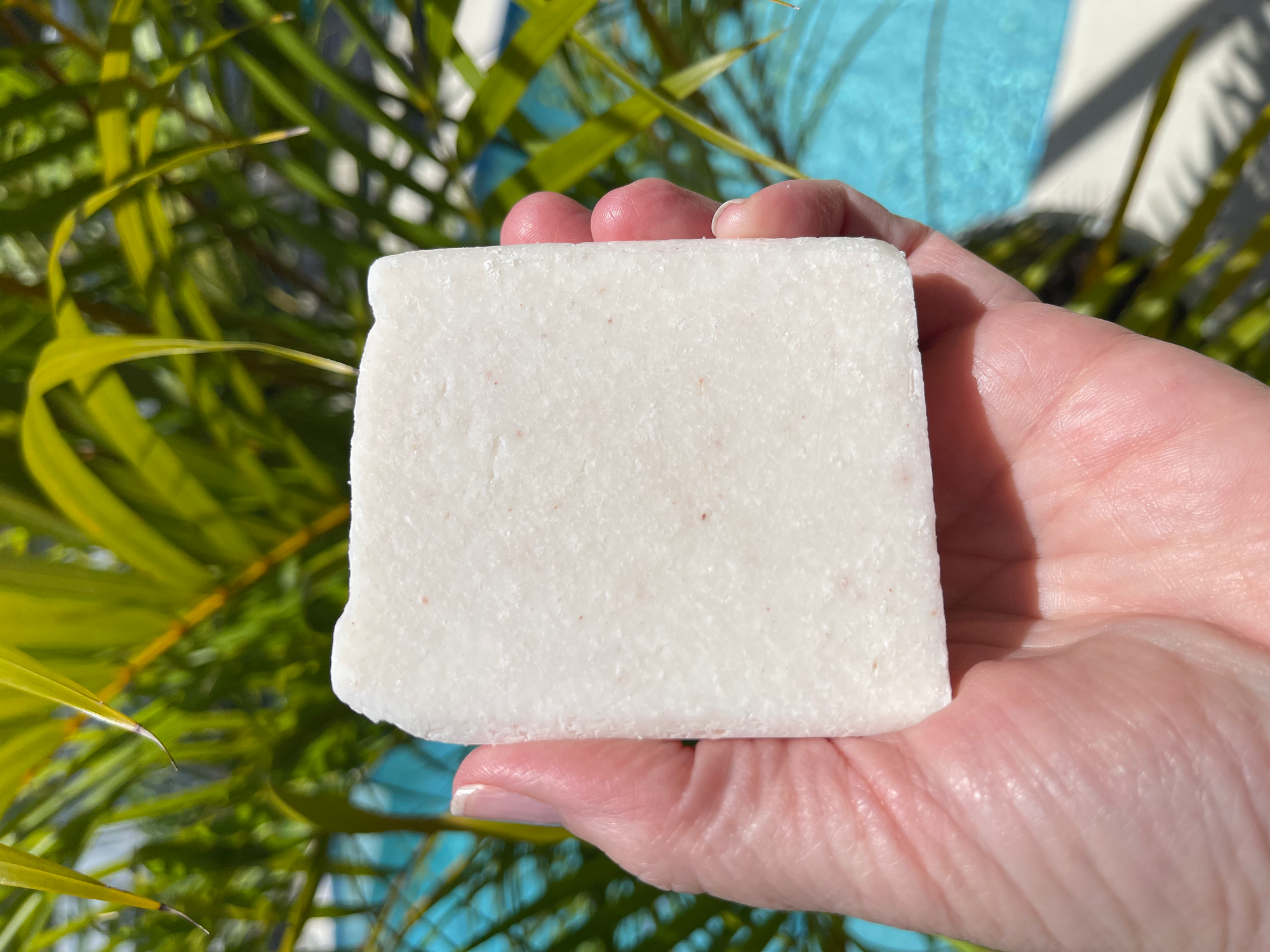 Grapefruit & Sea Salt Exfoliating Soap Bar