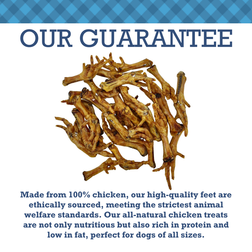 Country Living All-Natural Chicken Feet Dog Treats, Crunchy  Snacks for Joint Support – (20-Pack)