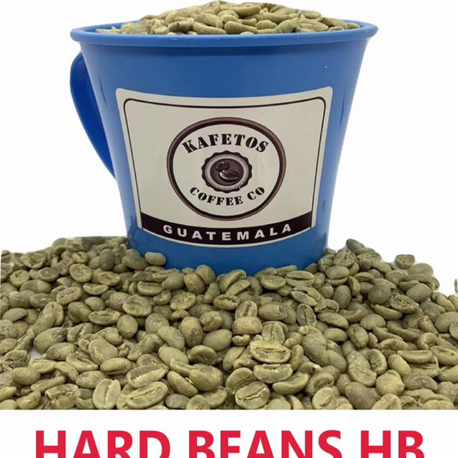 Hard Bean HB Specialty Grade -2025 CROPS-
