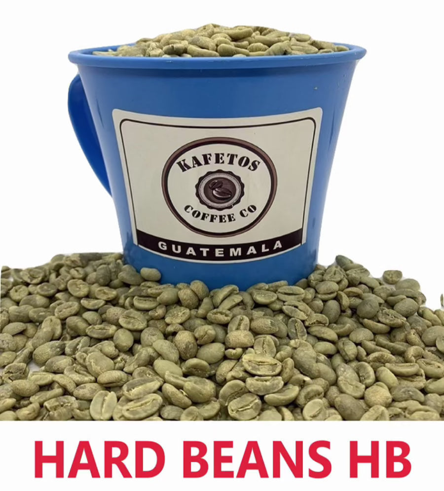 Bulk Coffee Hard Bean HB Specialty Grade -2025 CROPS-