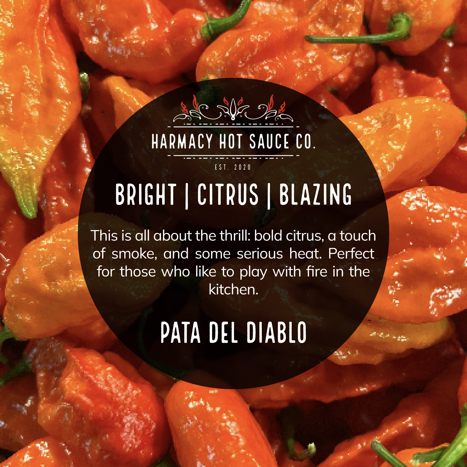 Extra Hot Variety Pack #1 - Best Sellers