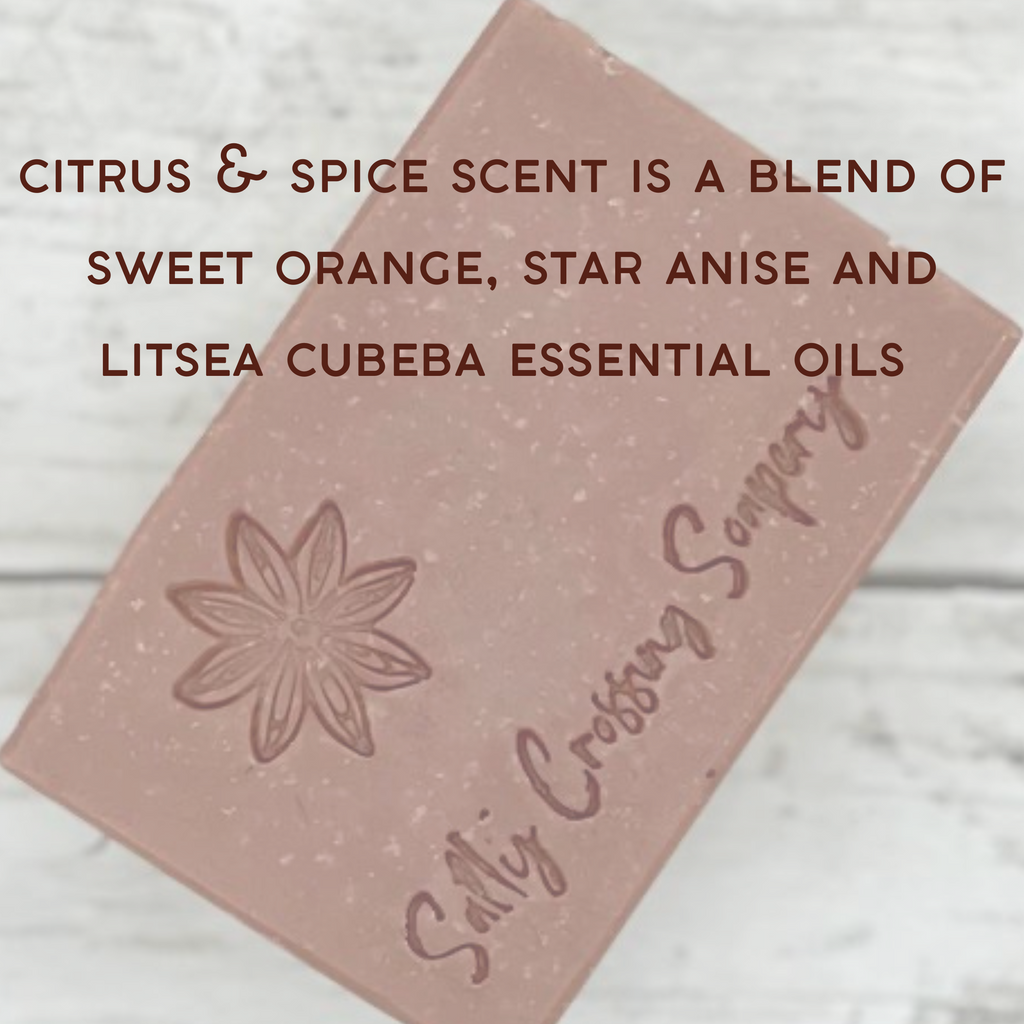 Orange & Anise Soap | Tallow and Goat Milk Artisan Bar | All Natural Lather for Shower Bath or Hands | Tennessee Made with Local Ingredients