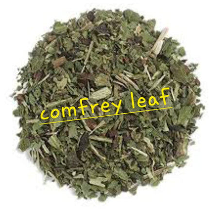 Comfrey Leaf | Tissue Repair & Bone Support