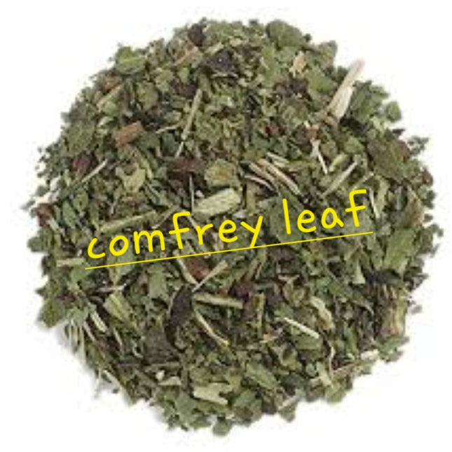 Comfrey Leaf | Tissue Repair & Bone Support