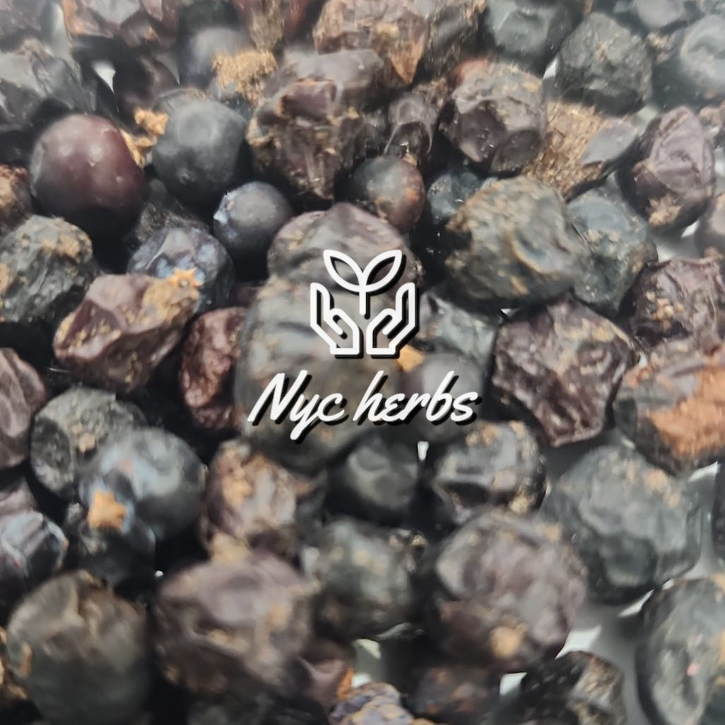 Juniper Berry | Urinary Cleanse & Immune Defense