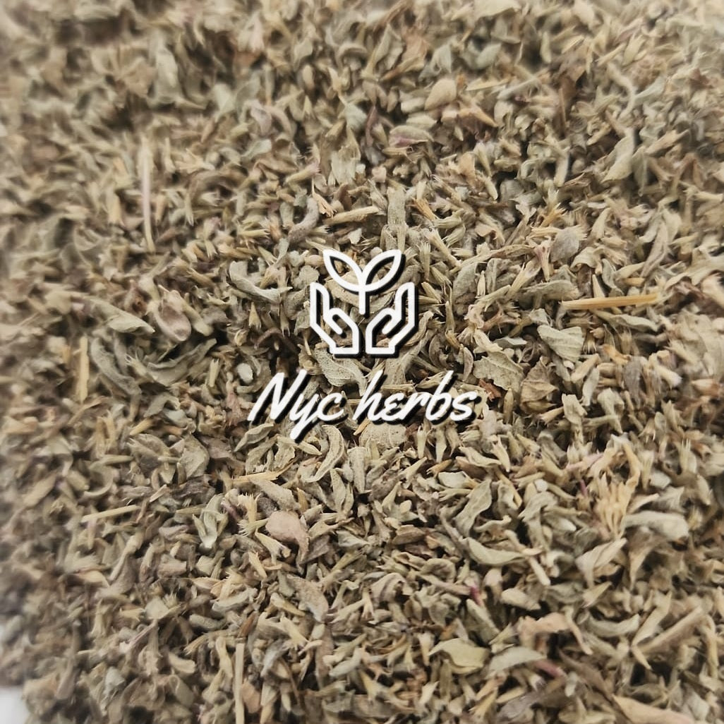 Pennyroyal | Digestive Relief & Respiratory Support