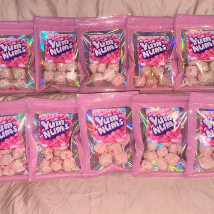 Watermelon YumNums Freeze-Dried Candy - 10 Bags of Crunchy, Juicy Perfection