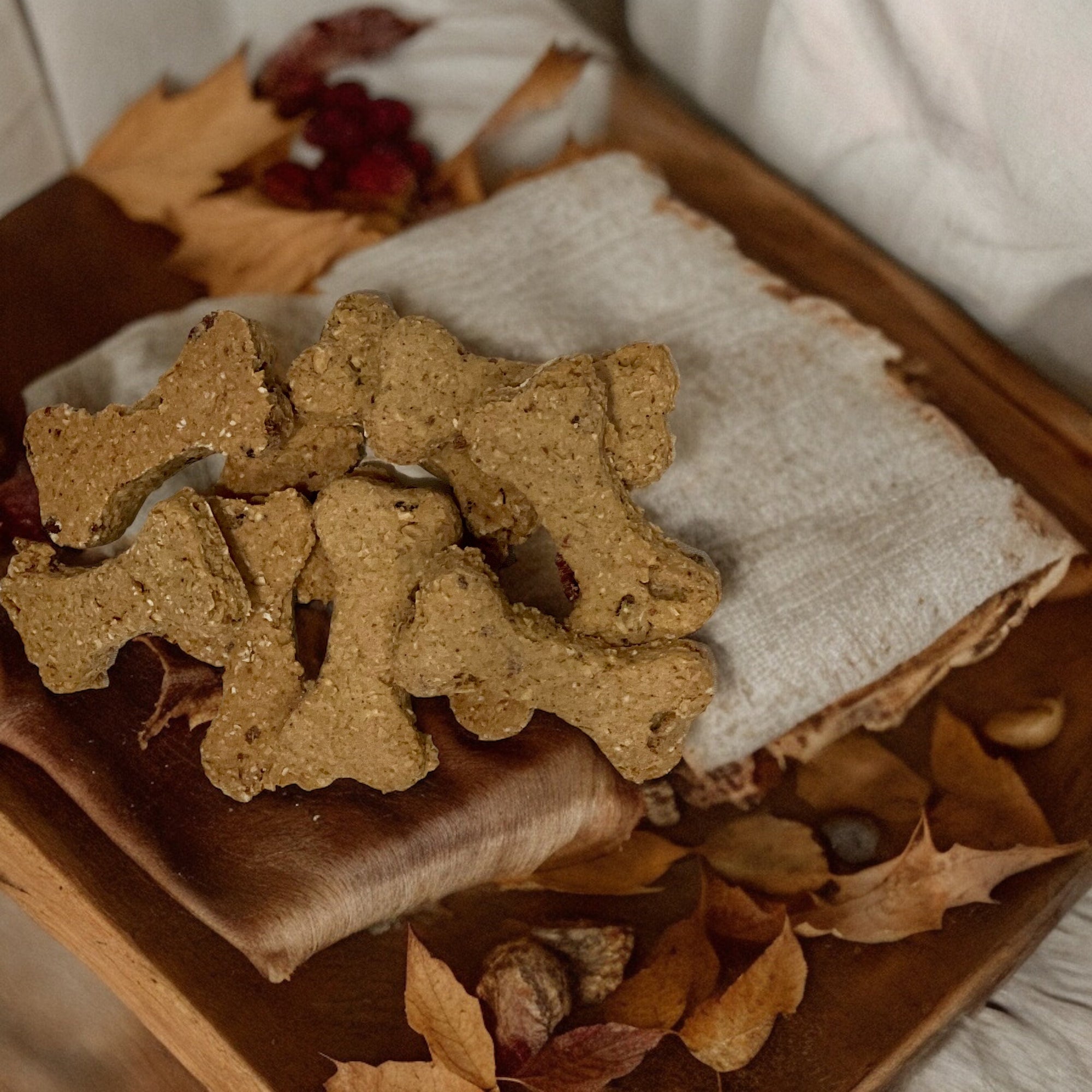 Cheddar & Bacon Delight treat