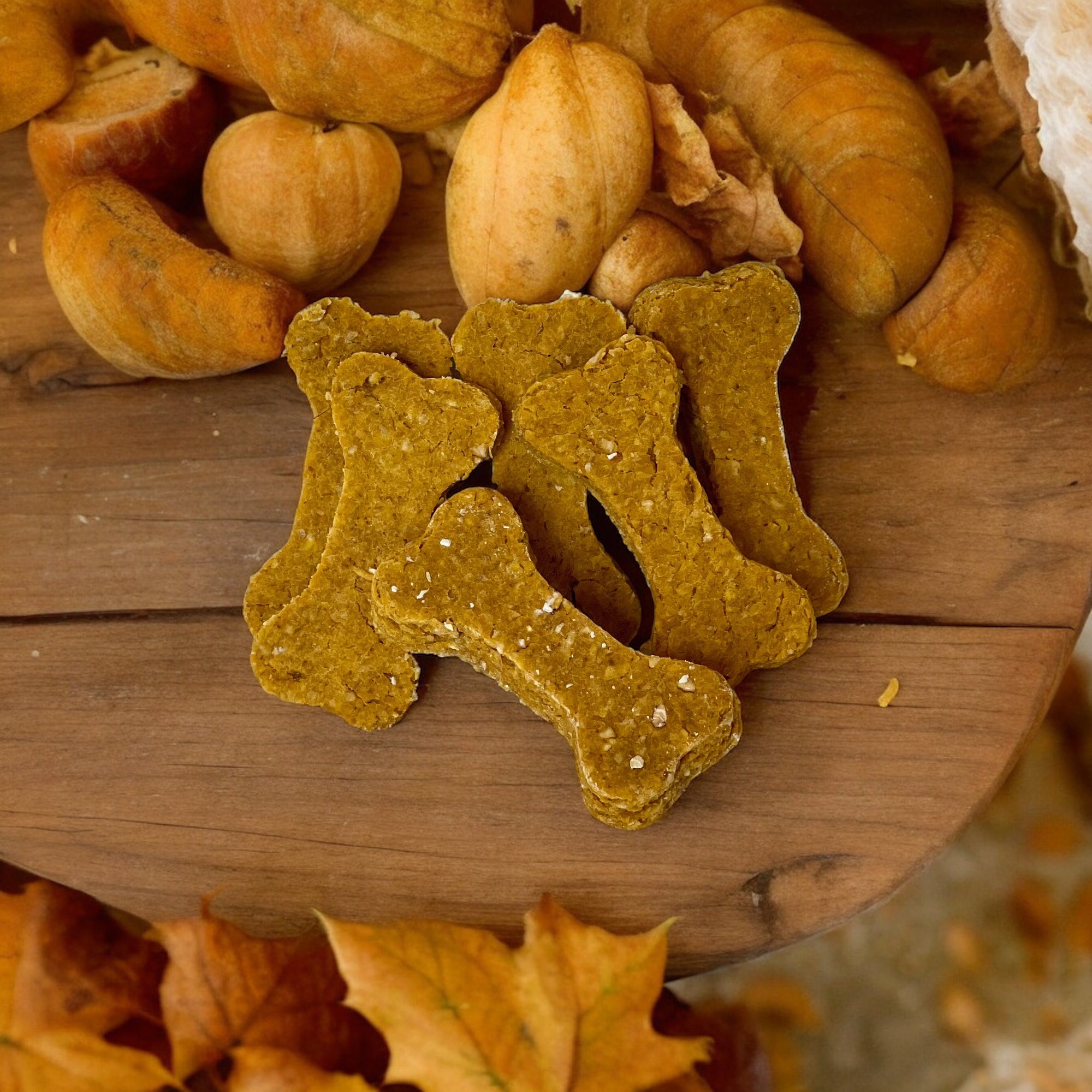 Pumpkin & Oat w/rosehip Treat