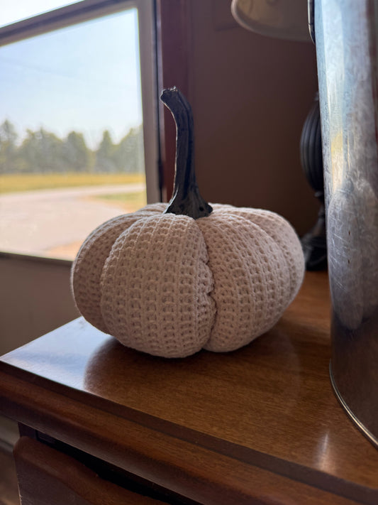 Thread & Co. Boutique, LLC Cream Knit Pumpkin Medium Size