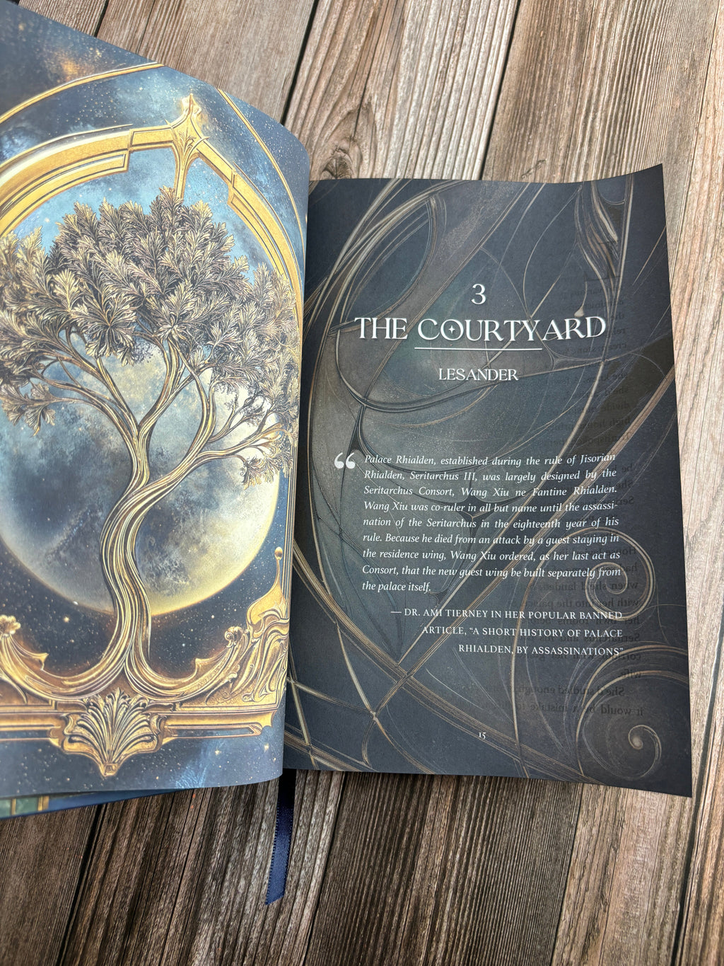 Special Edition Hardcover - The Truthspoken Heir: The Stars and Green Magics Book 1