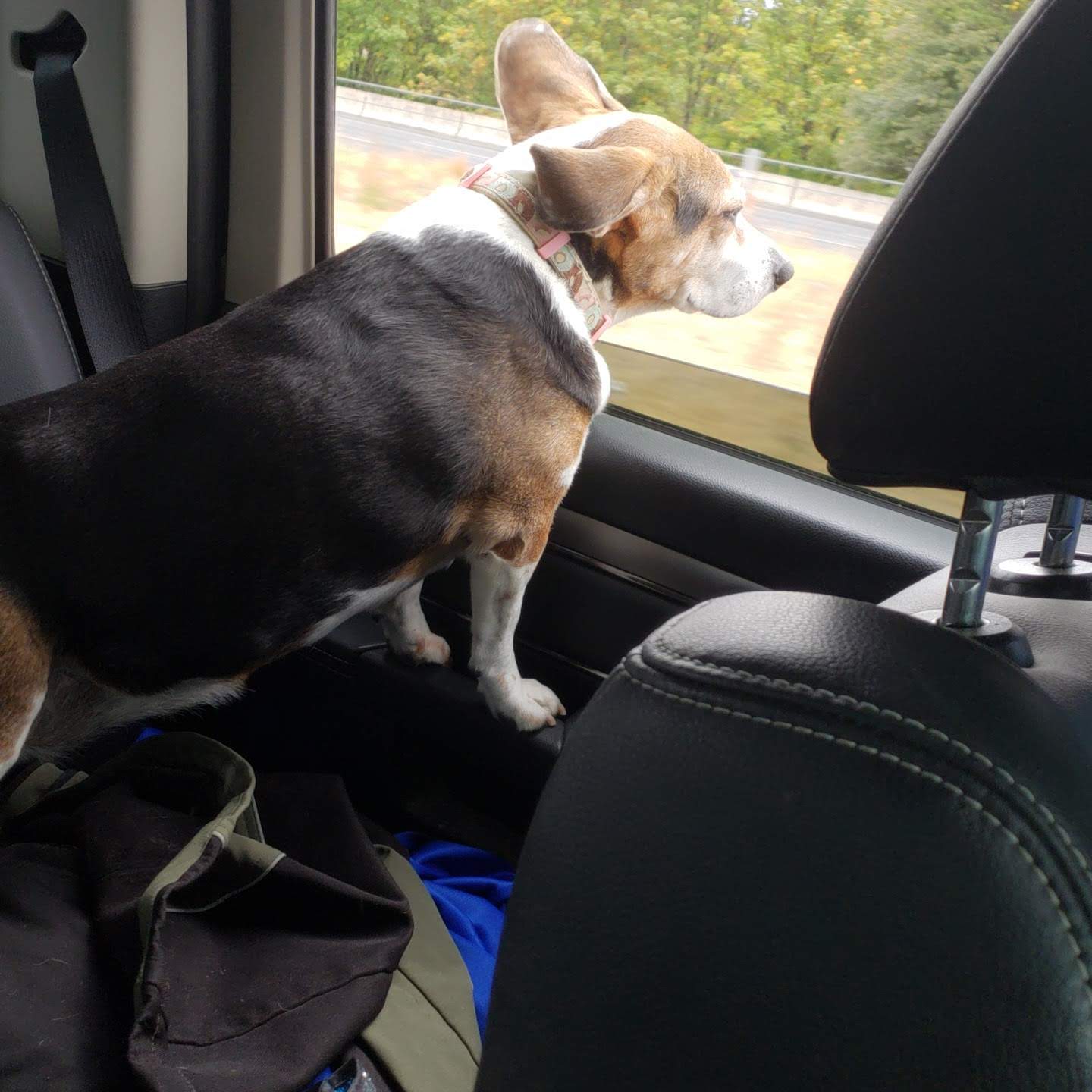 Janie - Flower Silk Special Edition Colorway