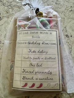 Blind Date with a Book (Holiday Rom-Com) by wanderlustbookbazaar.com FREE SHIPPING