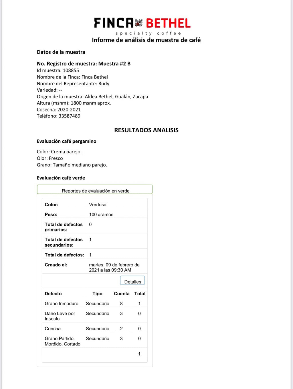 Bulk Coffee Strictly Hard Beans SHB- Specialty Grade -2025 CROPS-