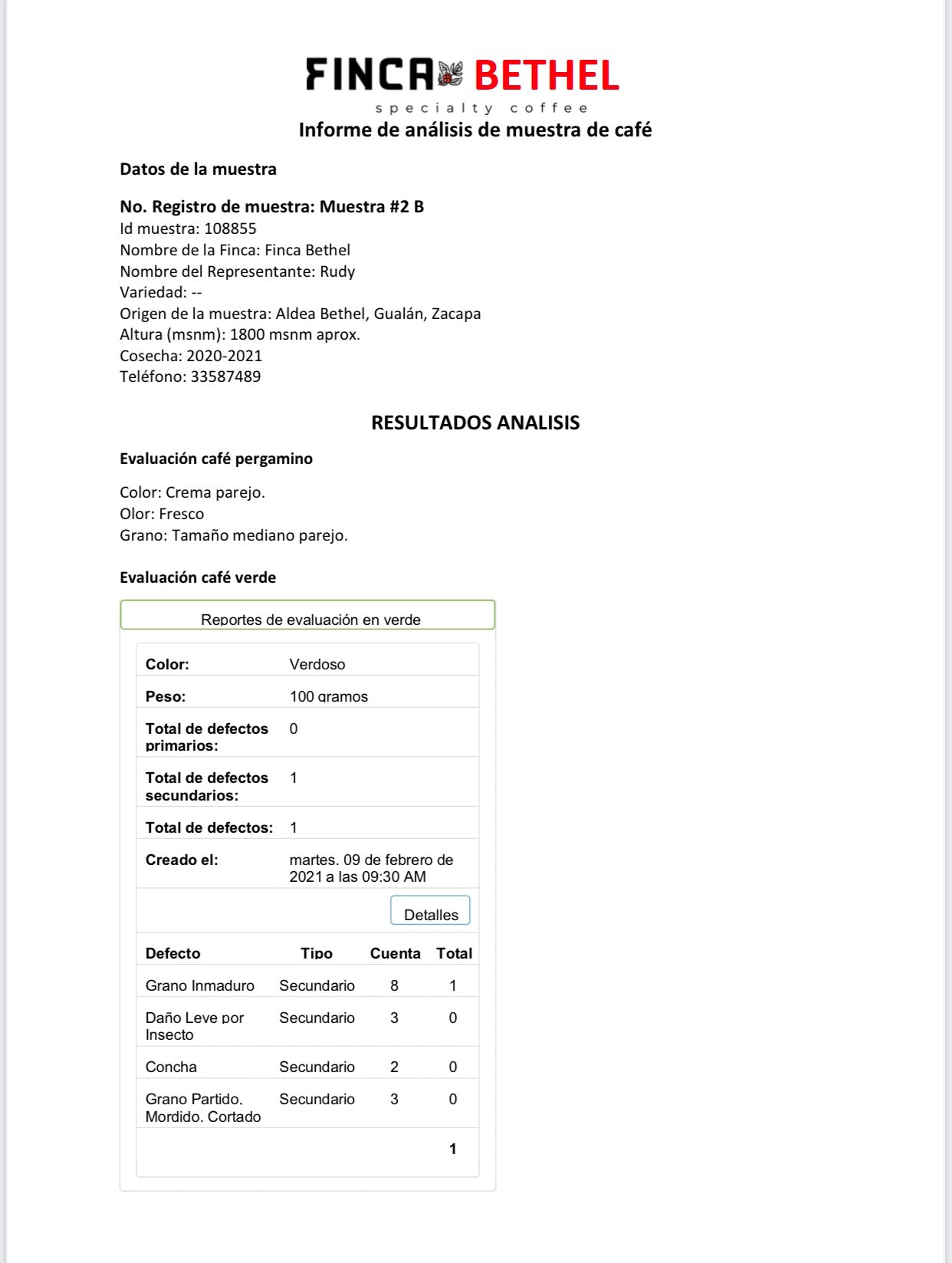 Bulk Coffee Strictly Hard Beans SHB- Specialty Grade -2025 CROPS-