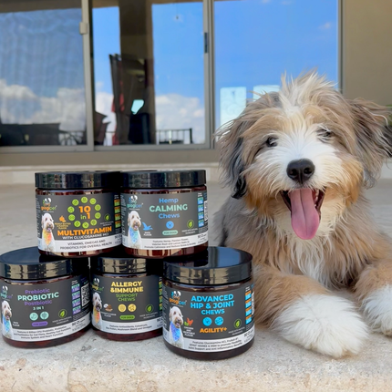 Allergy & Immune Support Chews for Dogs (Peanut Butter Flavor)
