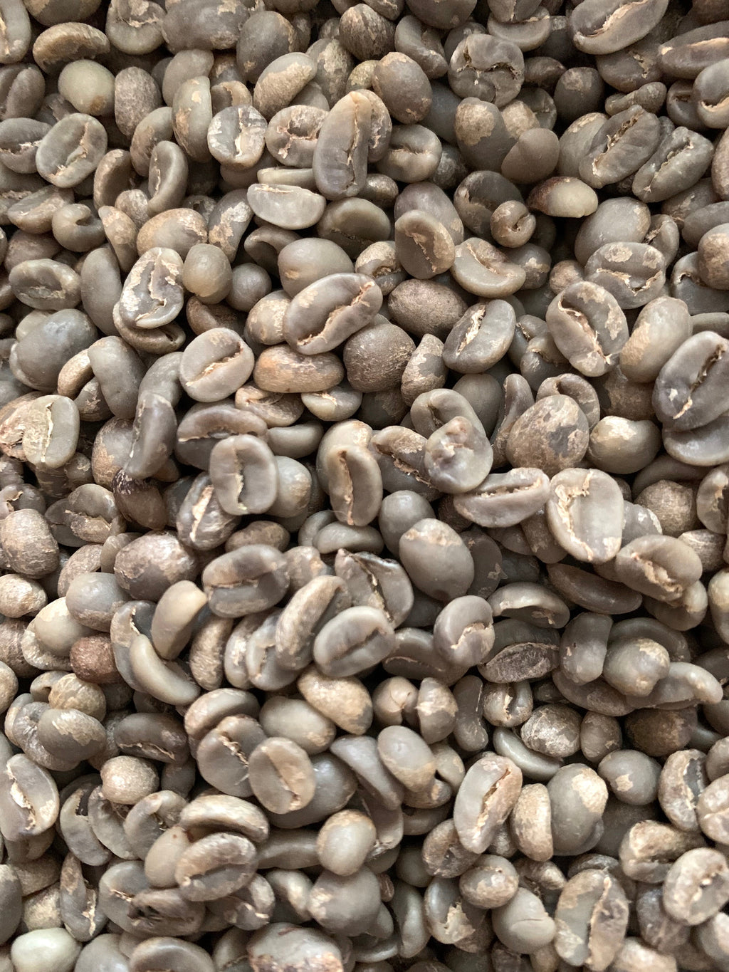 Bulk Coffee MARSELLESA Premium Specialty Grade -2025 CROPS-