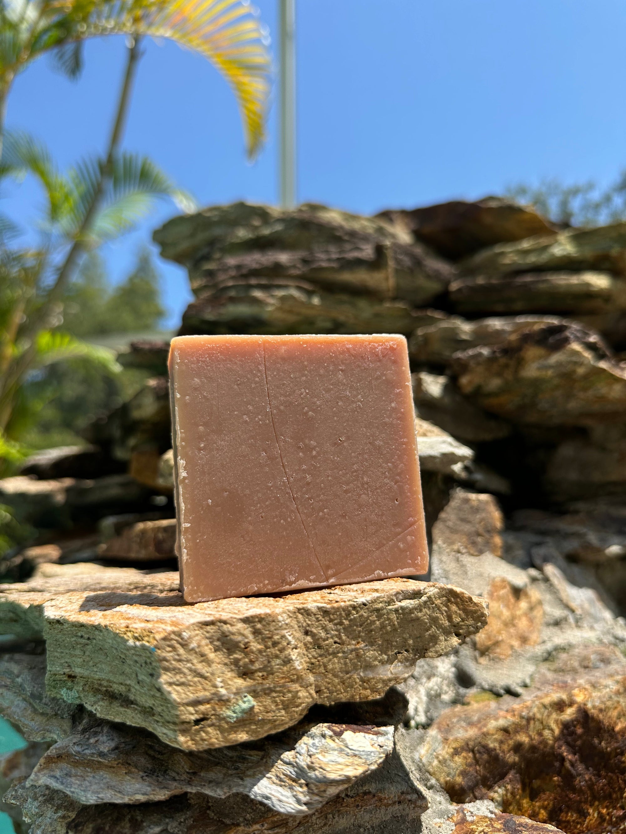 French Vanilla Biscotti