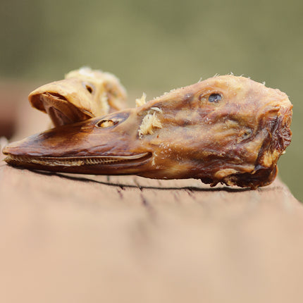 Duck Head