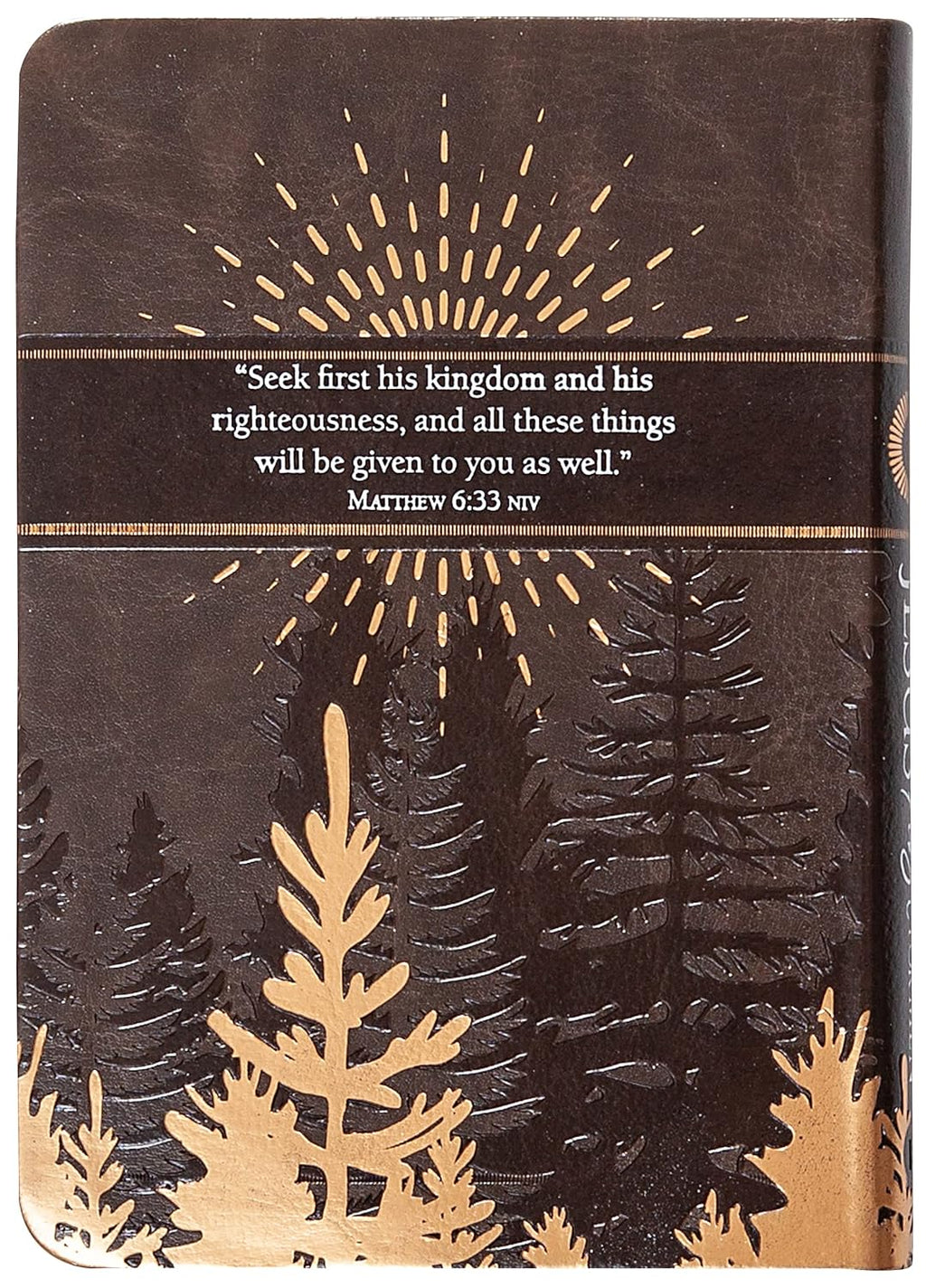 Men's Bible Study Bundle