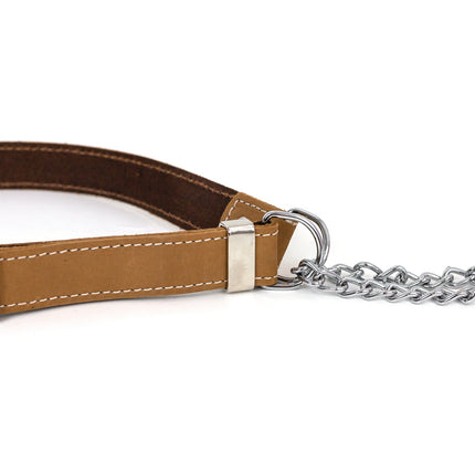 Martingale Khaki Leather Dog Collar