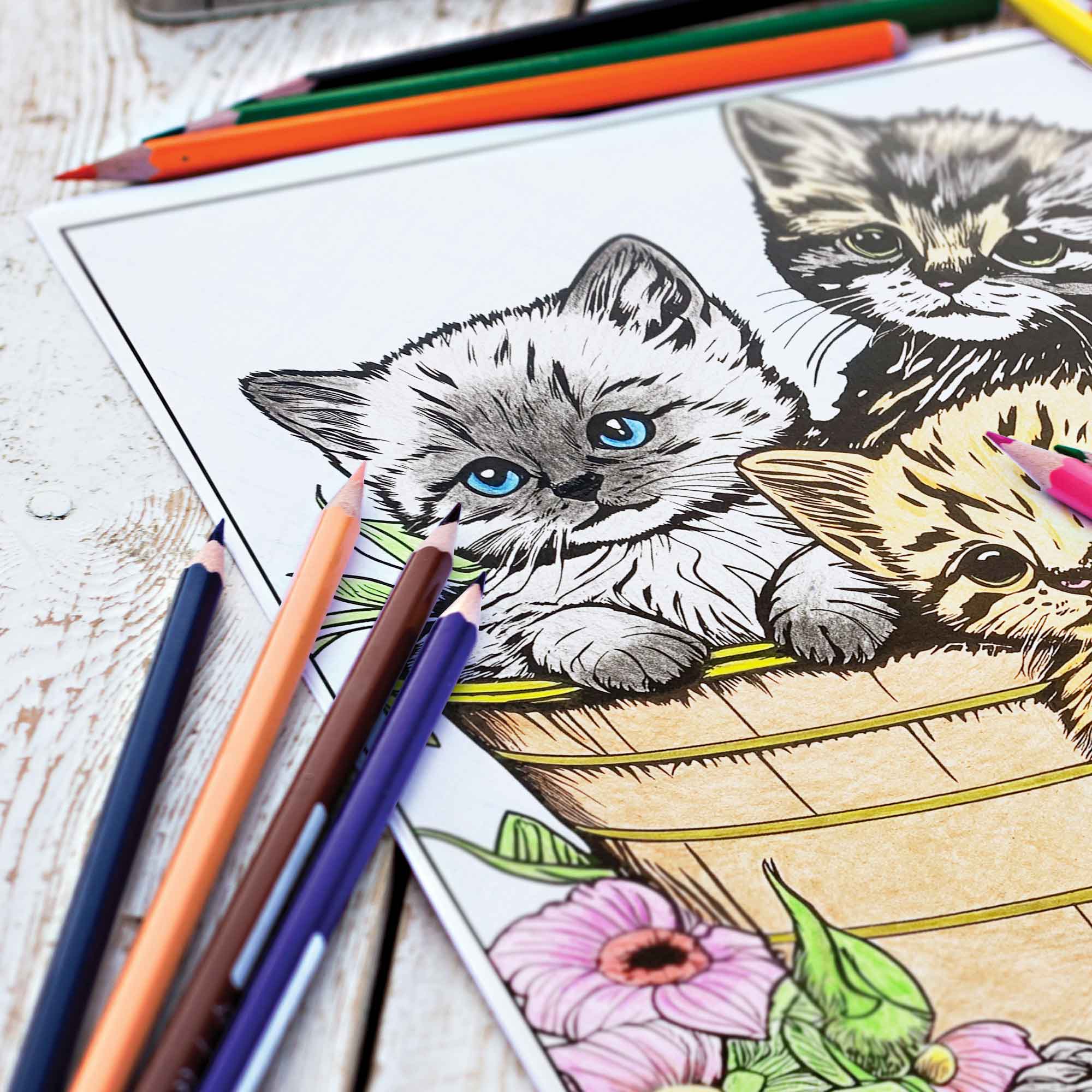 Kitty Colors Colored Pencils & Coloring Pages