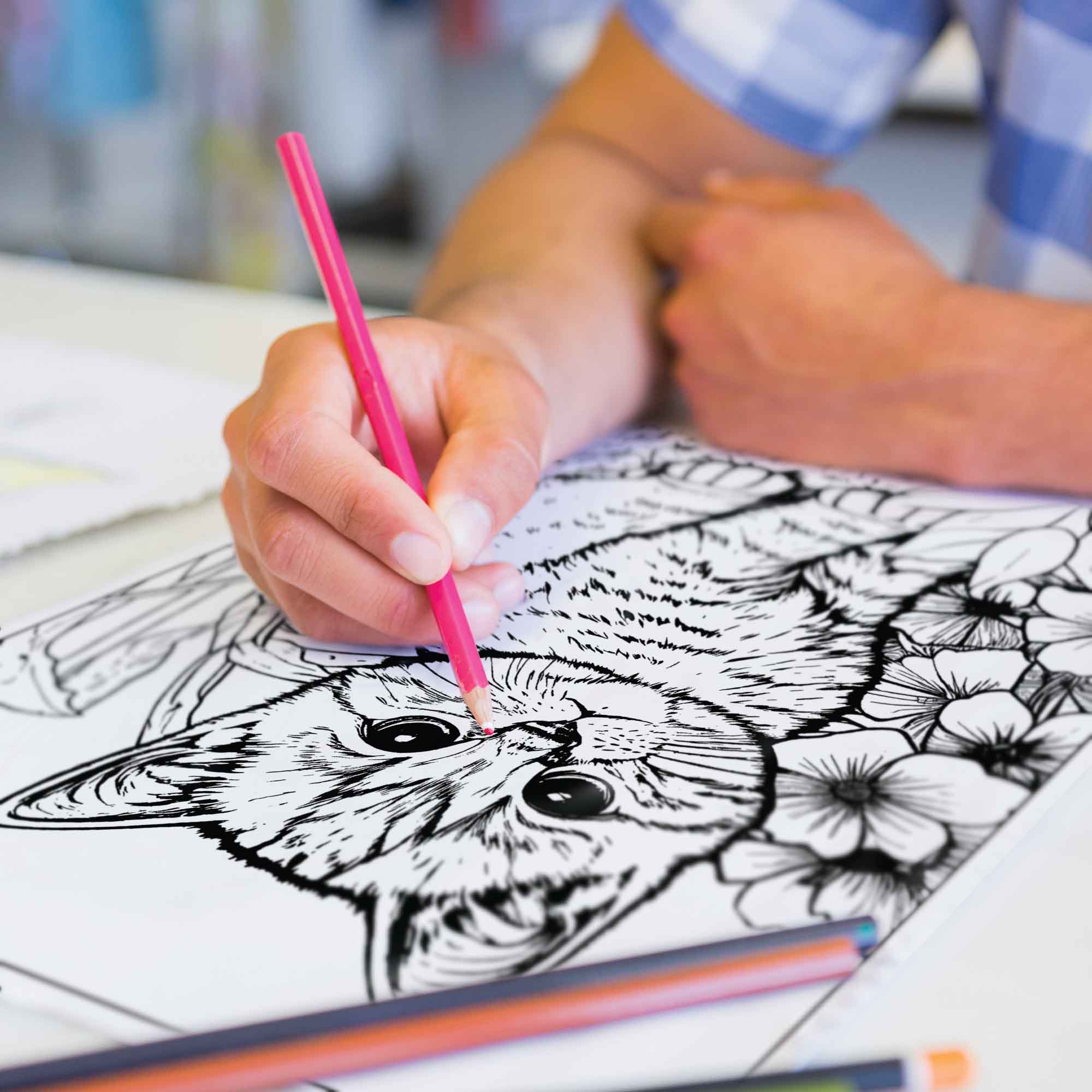 Kitty Colors Colored Pencils & Coloring Pages