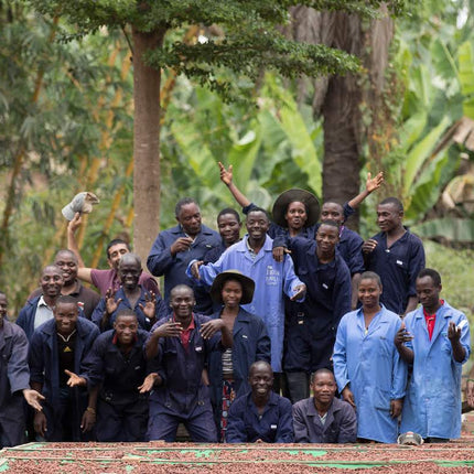 80% Tanzania Dark Chocolate